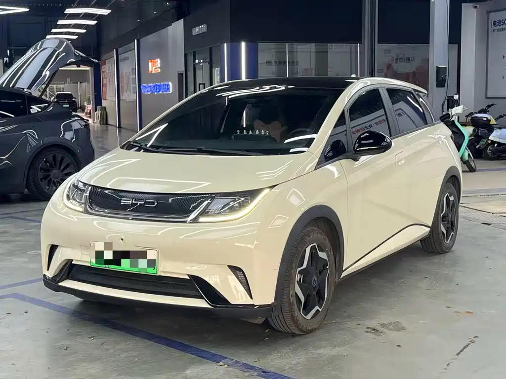 BYD Dolphin 2022