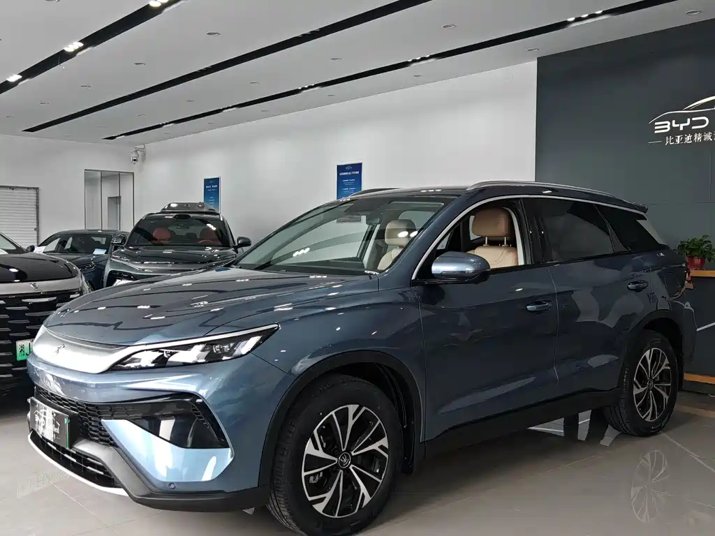 BYD Pro New Energy 2025
