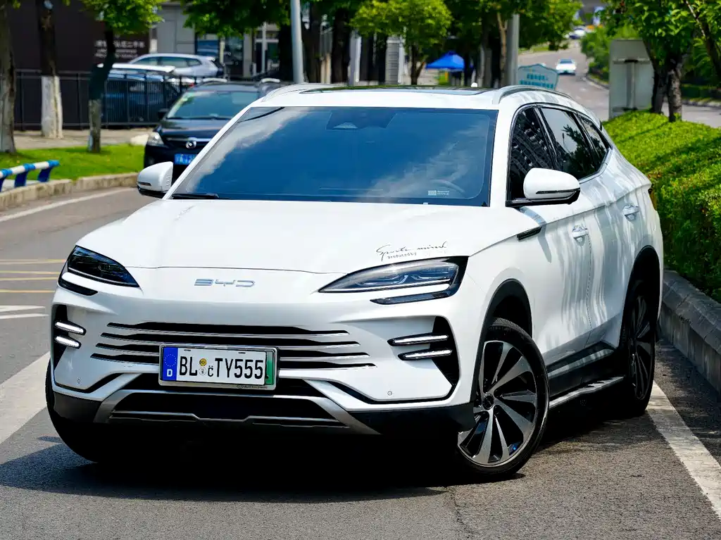 BYD PLUS New Energy 2024