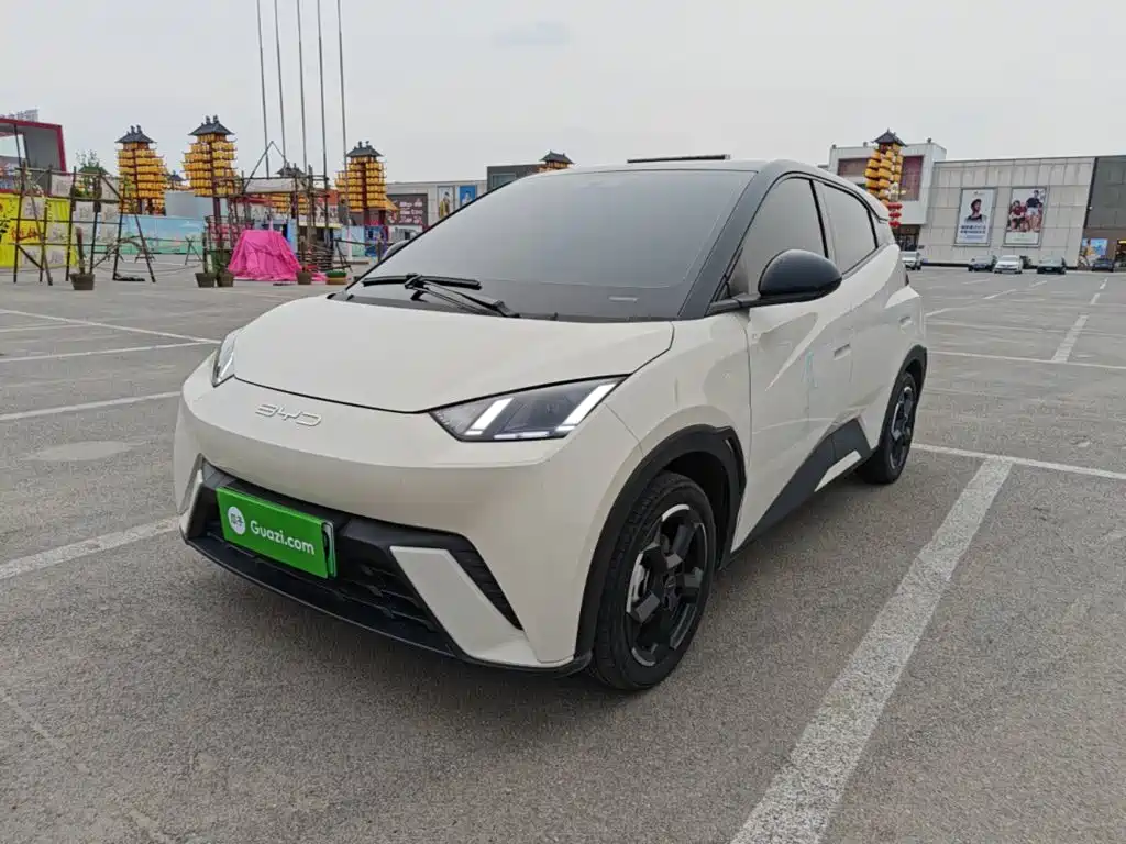 BYD Seagull 2024
