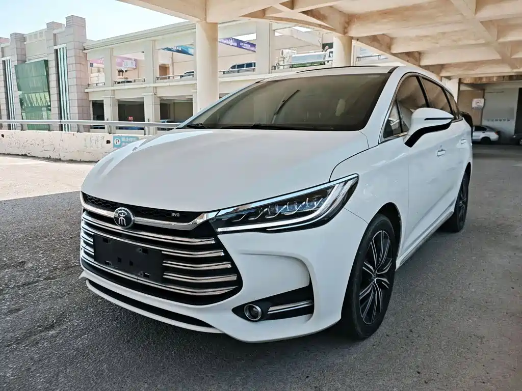 BYD MAX New Energy 2020