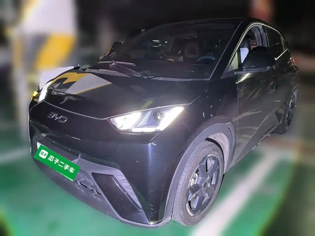 BYD Seagull 2024