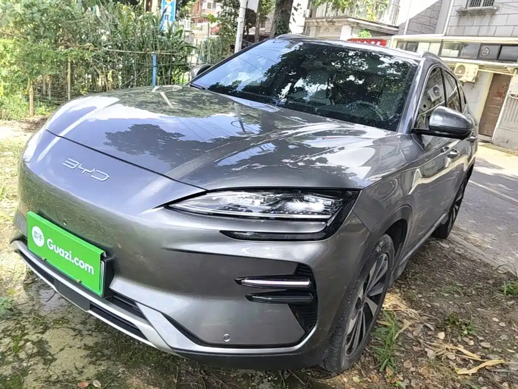 BYD PLUS New Energy 2024