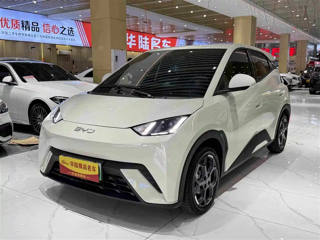 BYD Seagull 2025