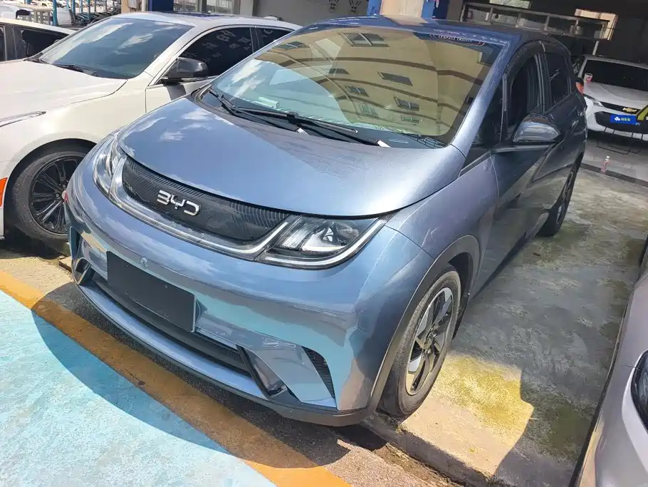BYD Dolphin 2024