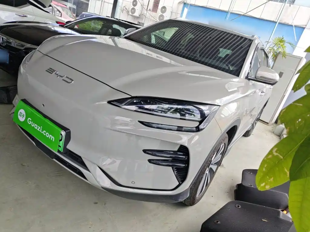 BYD PLUS New Energy 2024