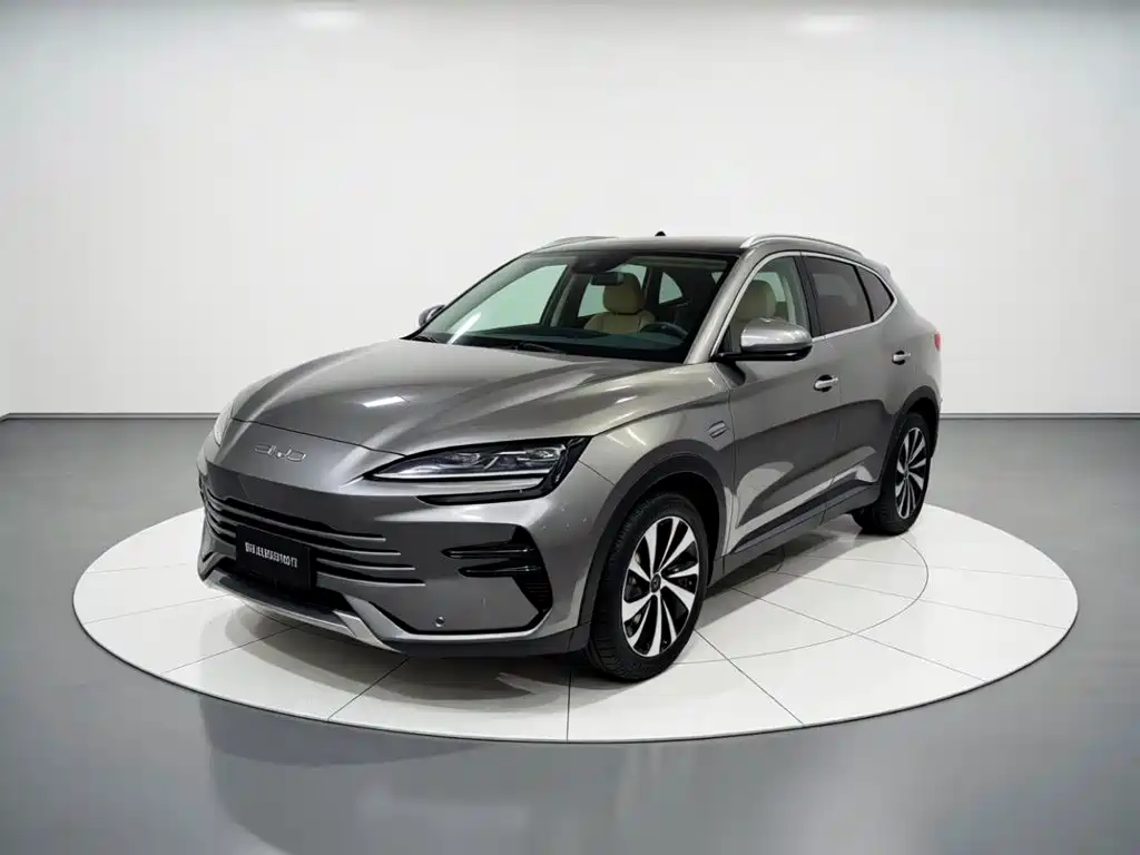 BYD PLUS New Energy 2024