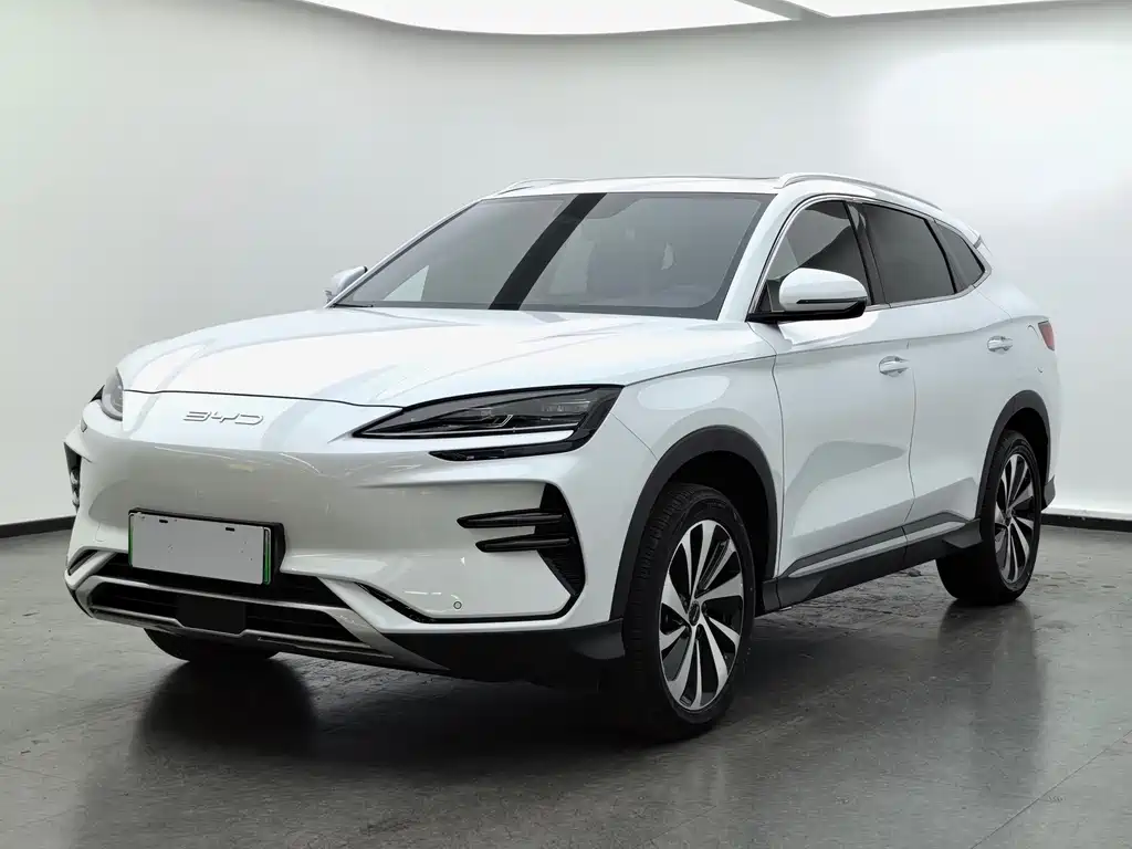 BYD PLUS New Energy 2024