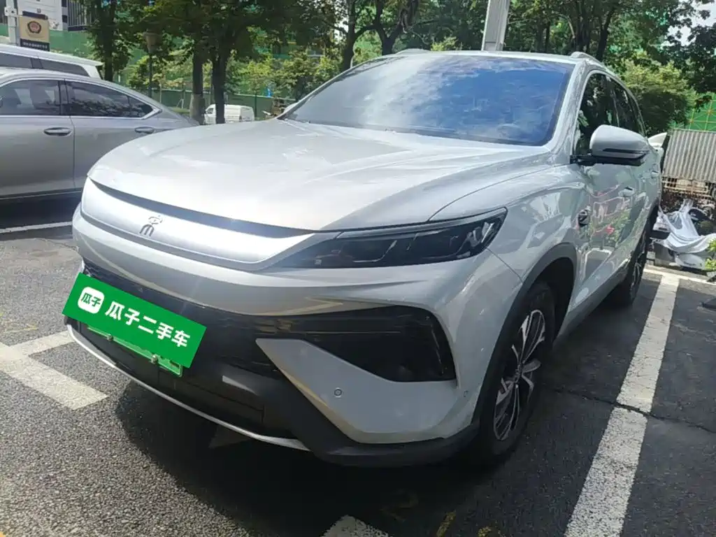 BYD Pro New Energy 2025