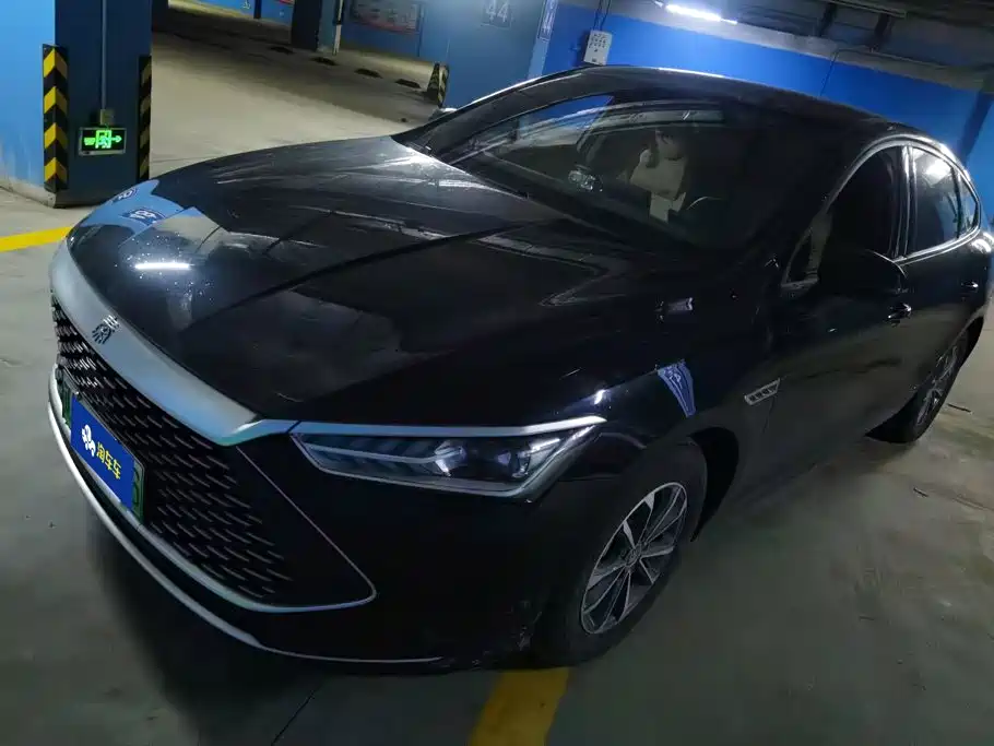BYD Qin PLUS 2024