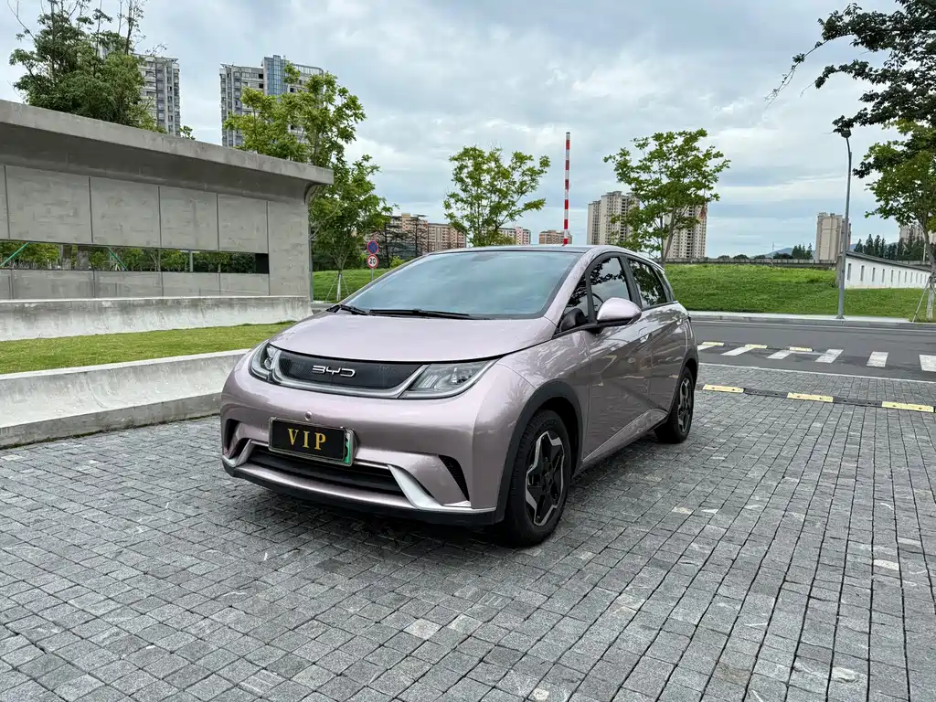 BYD Dolphin 2022