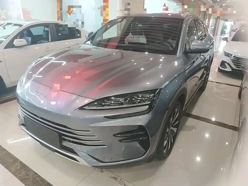 BYD PLUS New Energy 2024
