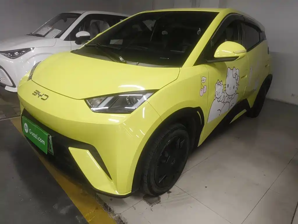 BYD Seagull 2024