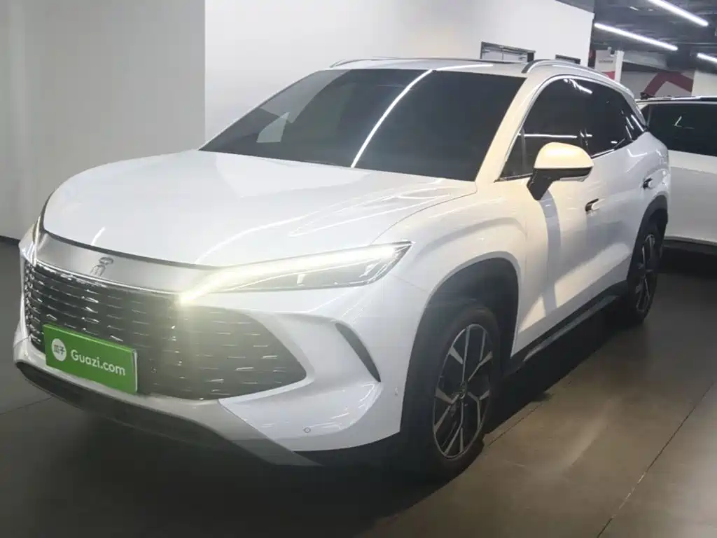 BYD L DM-i 2024