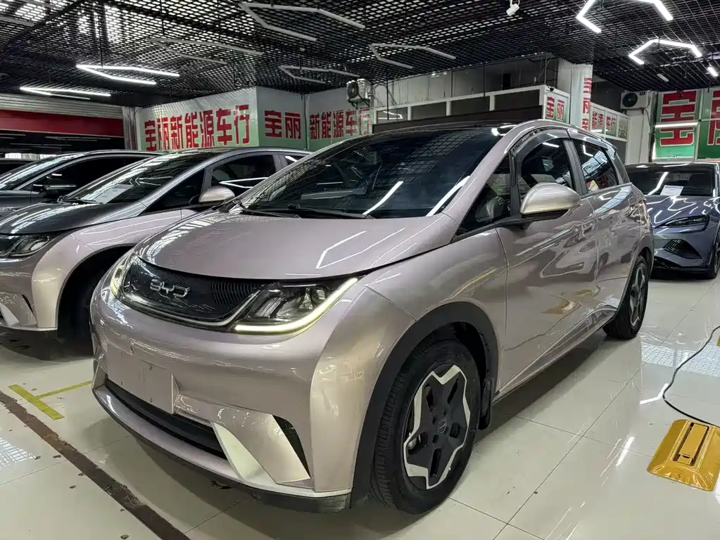 BYD Dolphin 2022