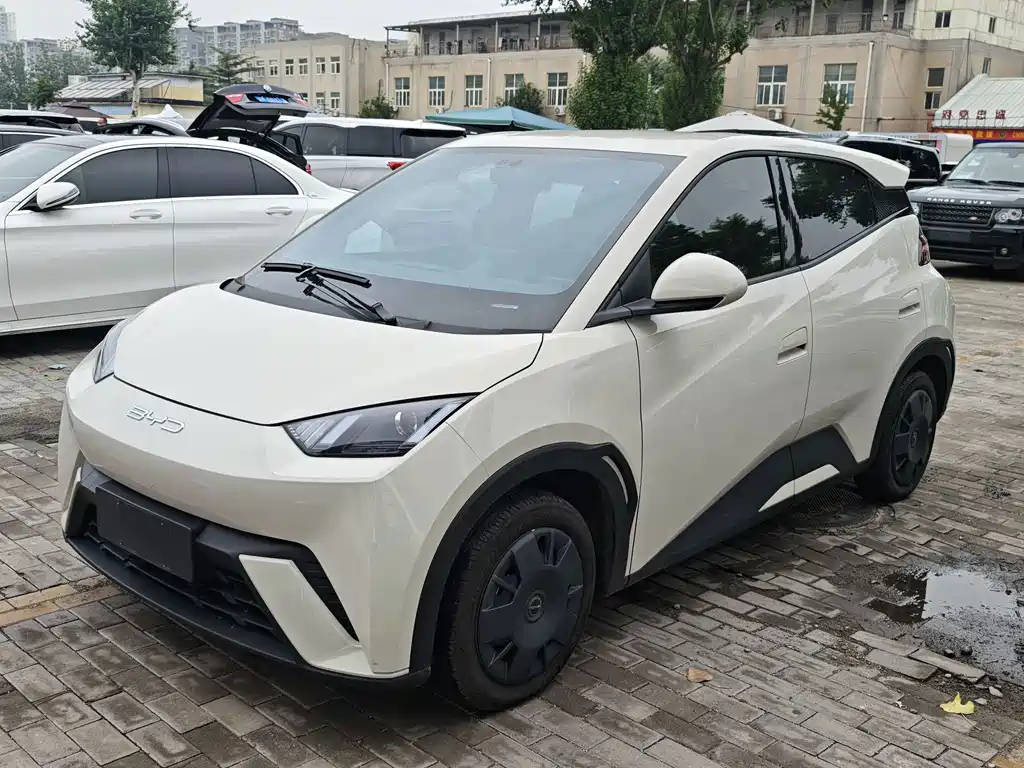 BYD Seagull 2024