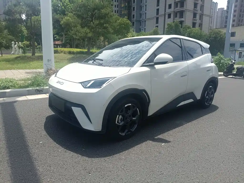 BYD Seagull 2024
