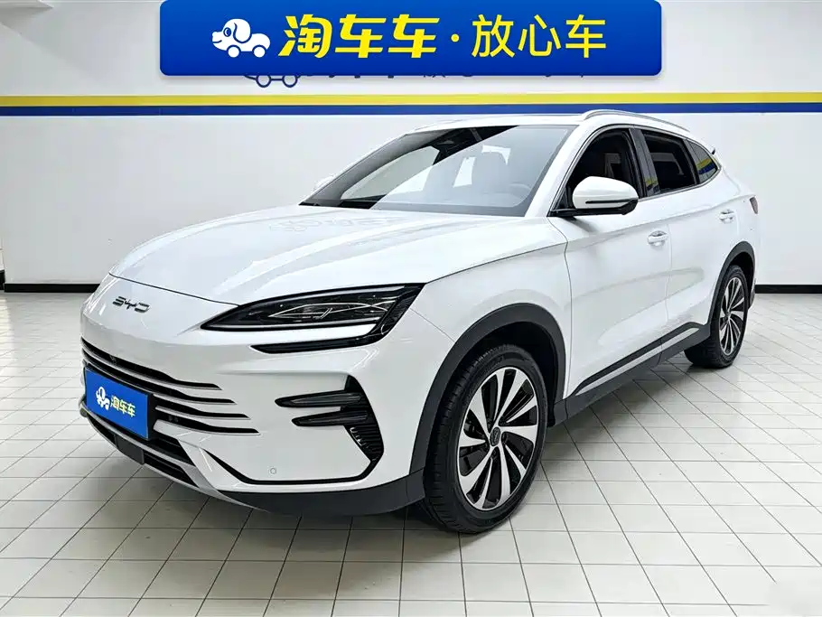 BYD PLUS New Energy 2023