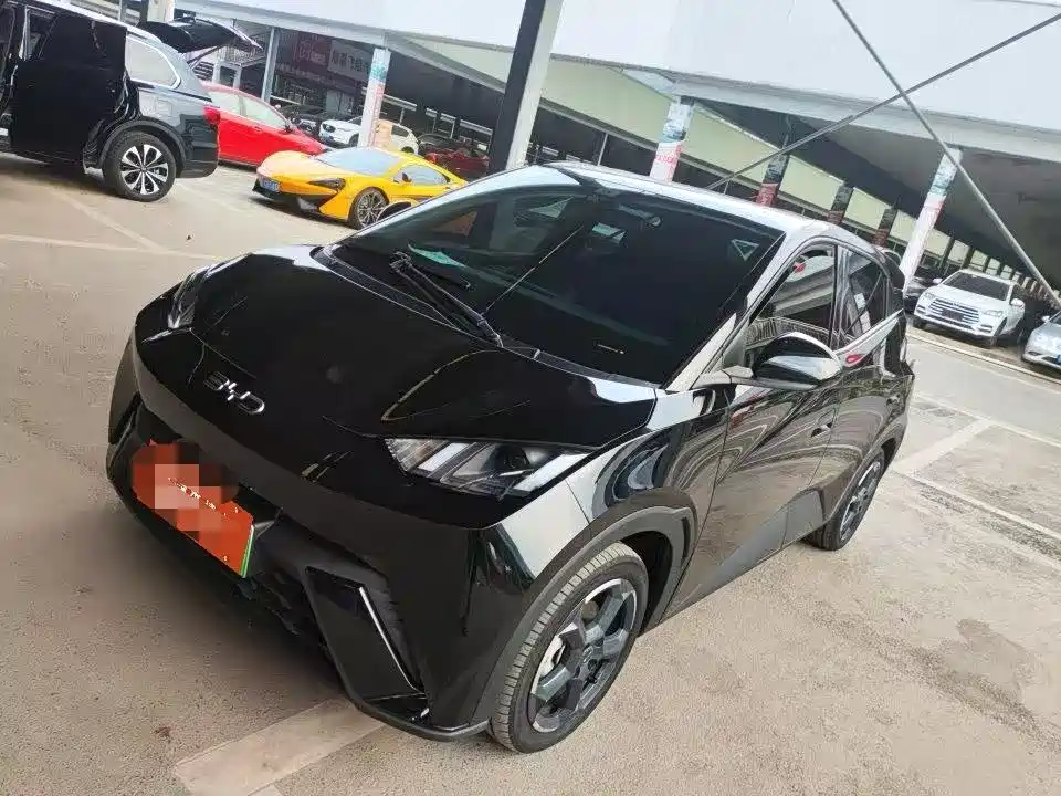 BYD Seagull 2024