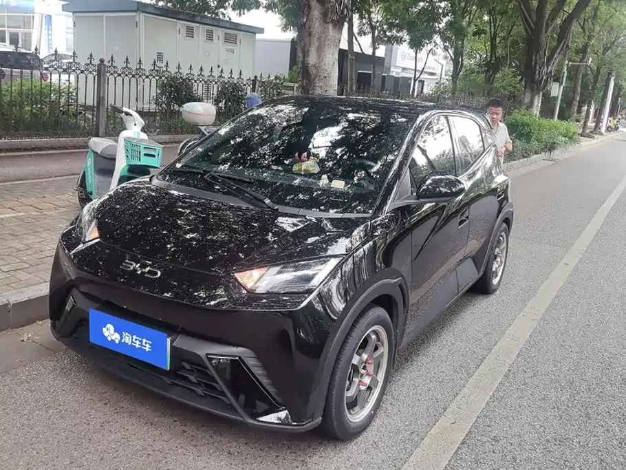 BYD Seagull 2024