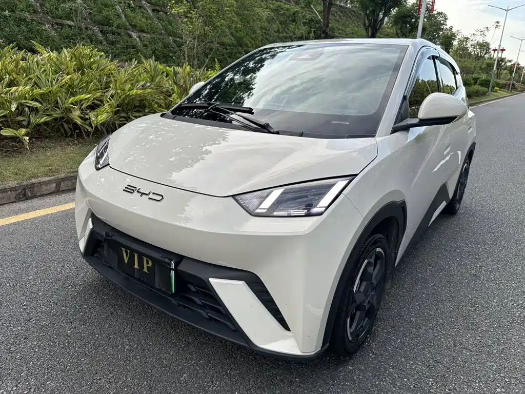 BYD Seagull 2023