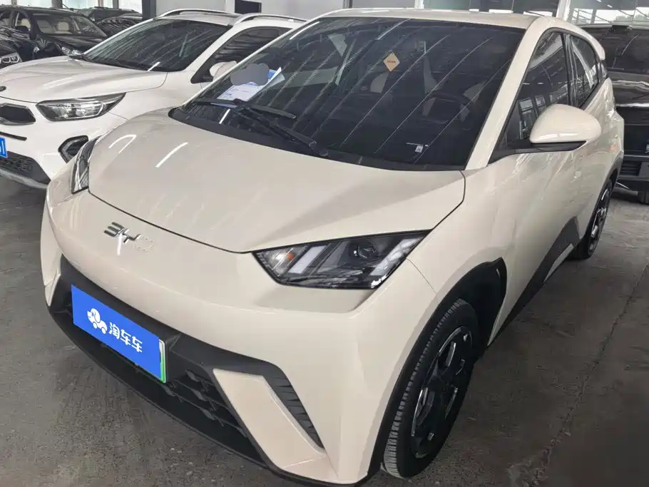 BYD Seagull 2024
