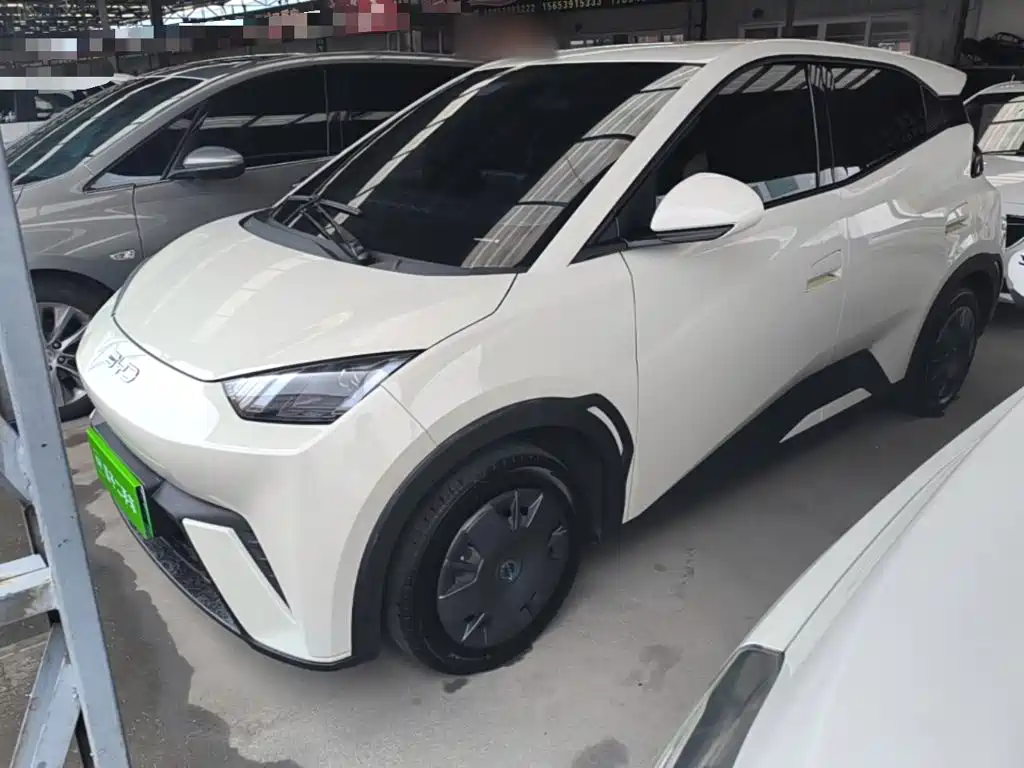 BYD Seagull 2024