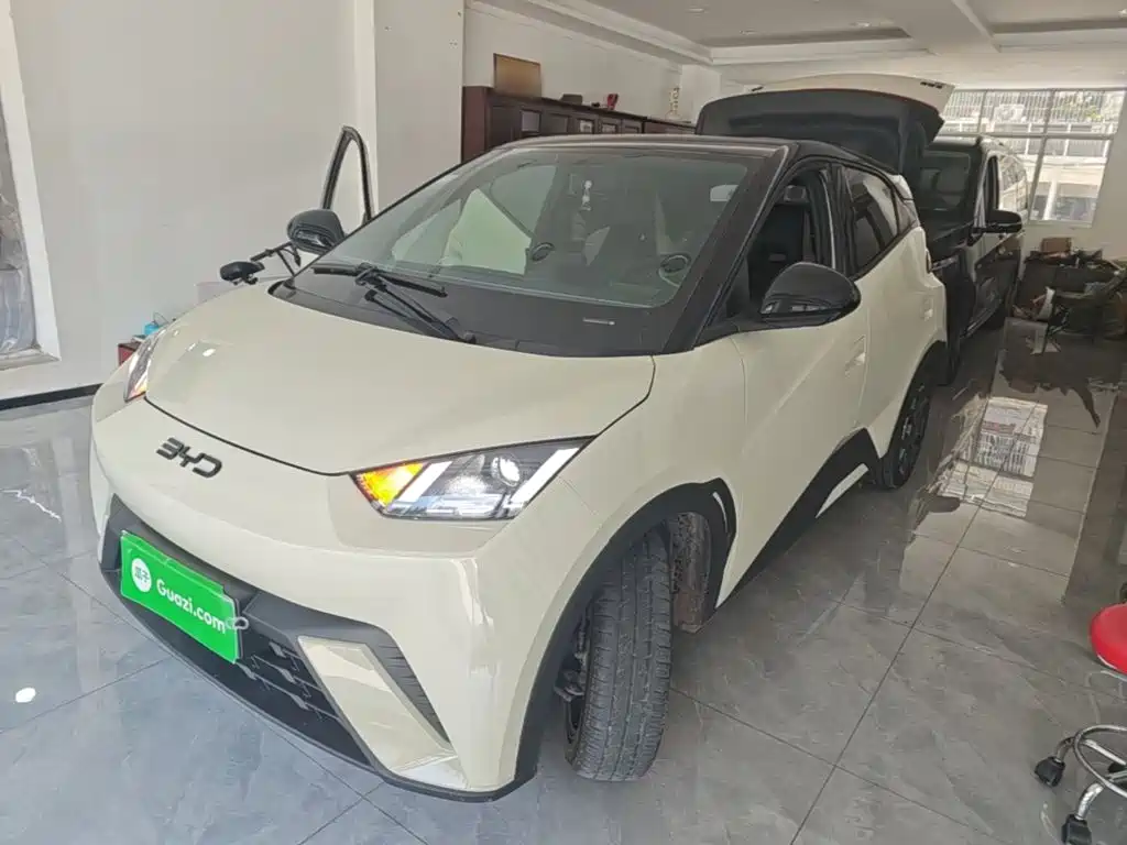 BYD Seagull 2024