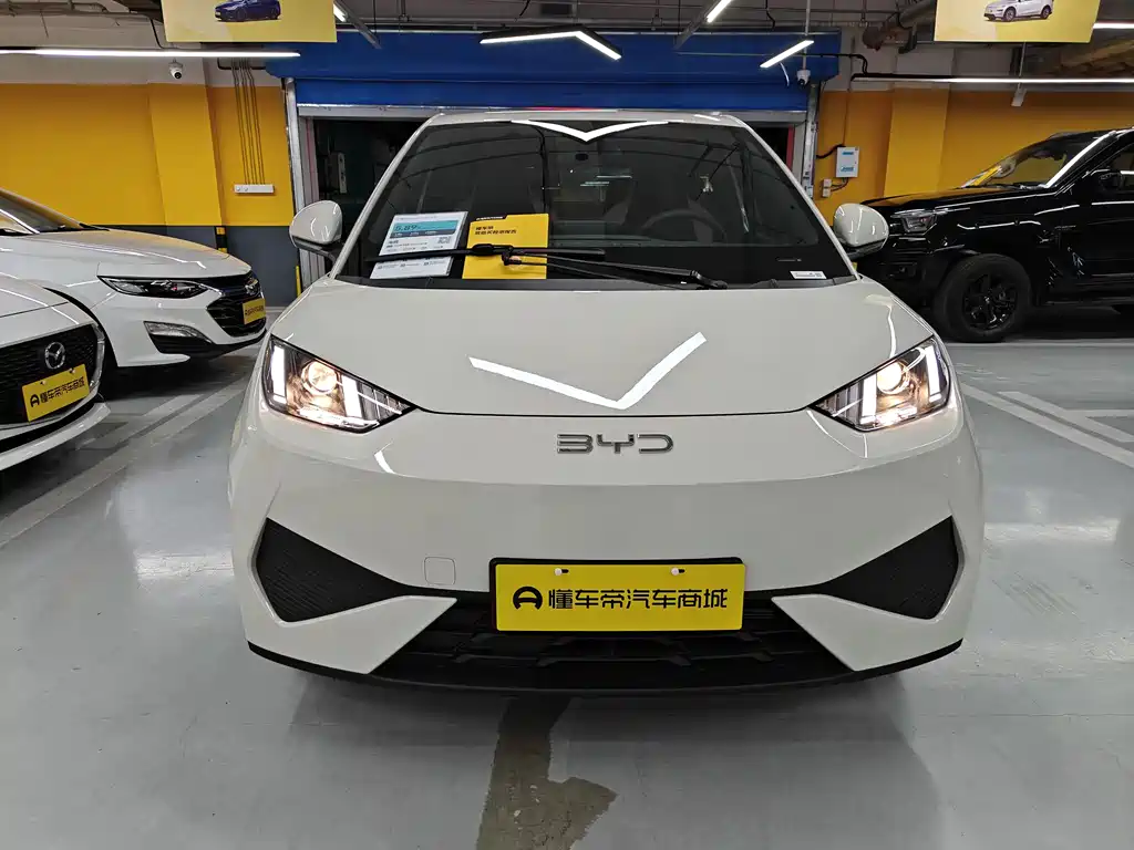 BYD Seagull 2026