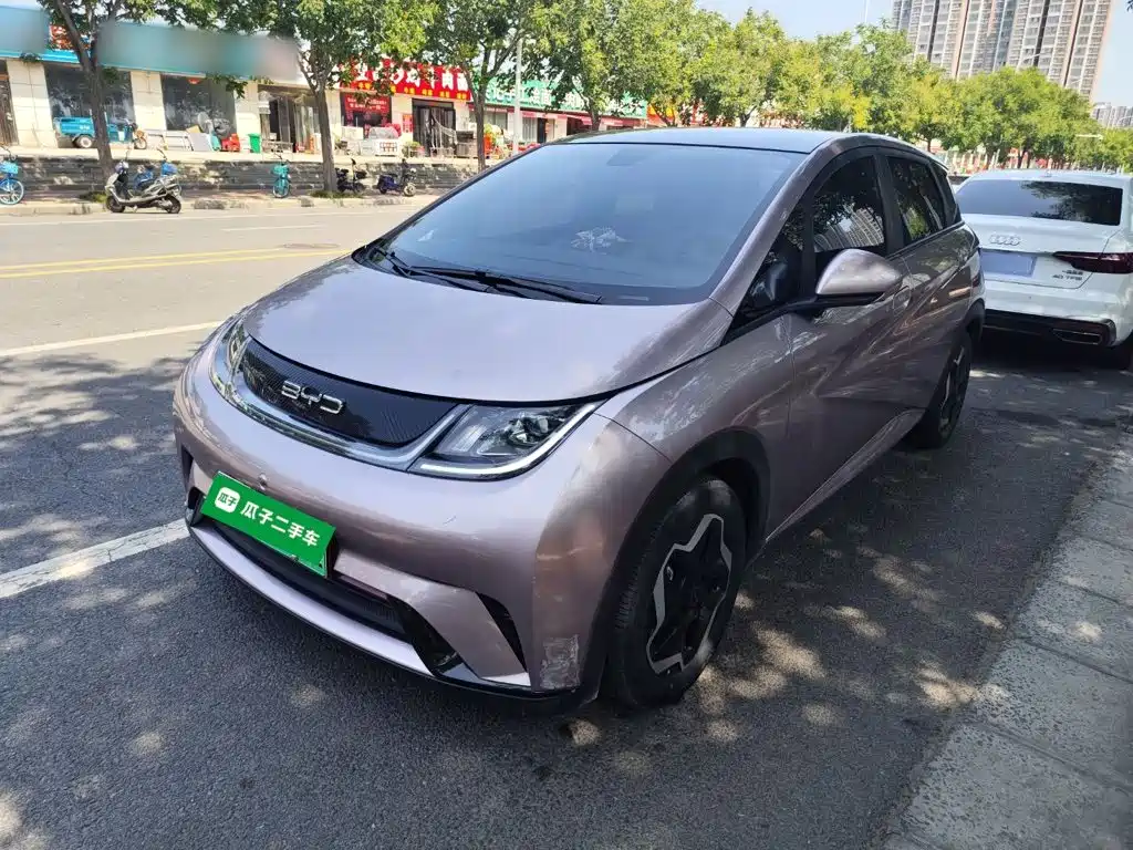 BYD Dolphin 2022