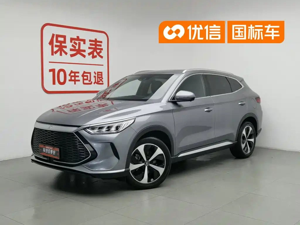 BYD PLUS New Energy 2022
