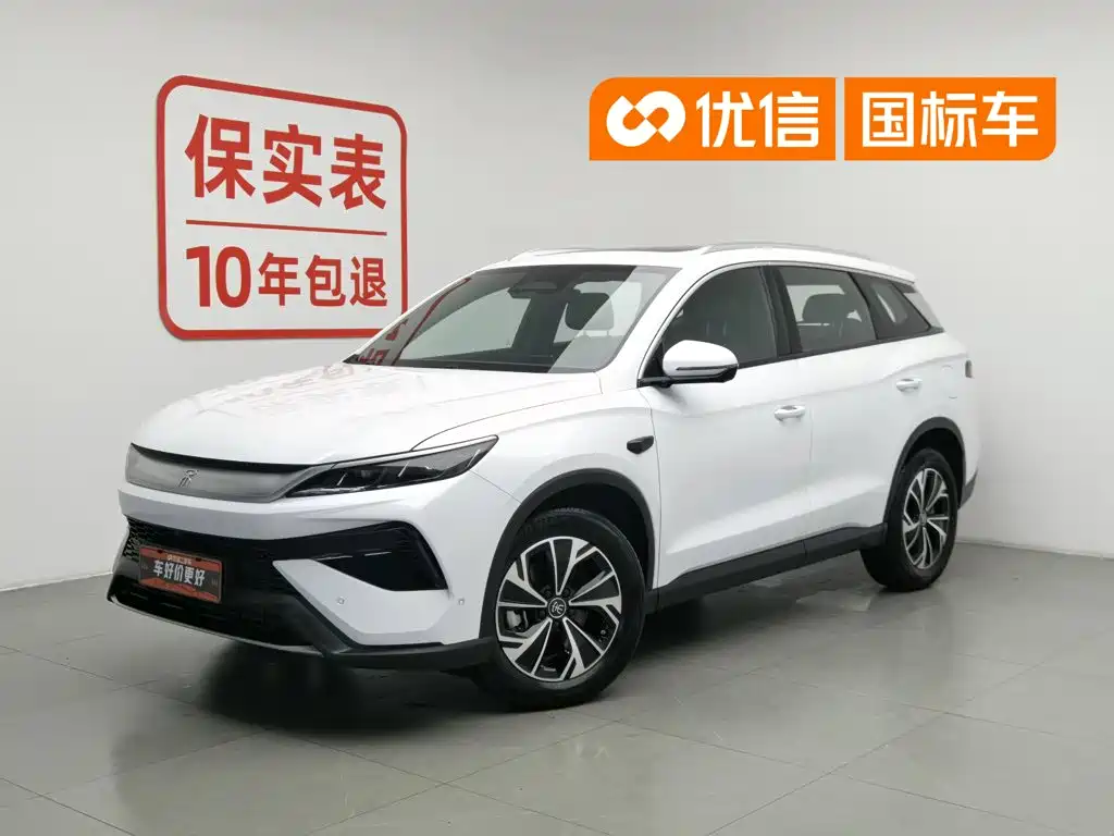 BYD Pro New Energy 2025