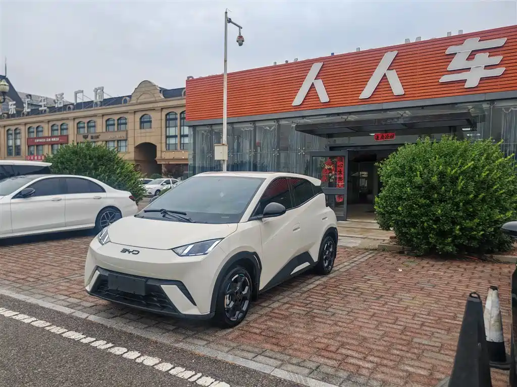 BYD Seagull 2024