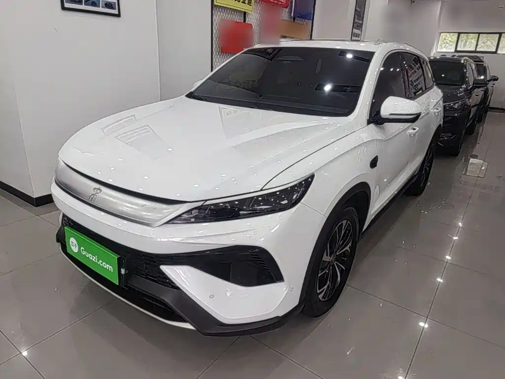 BYD Pro New Energy 2025