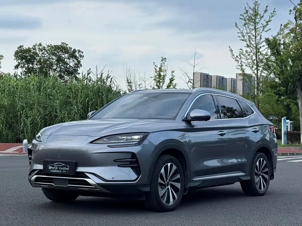 BYD PLUS New Energy 2024