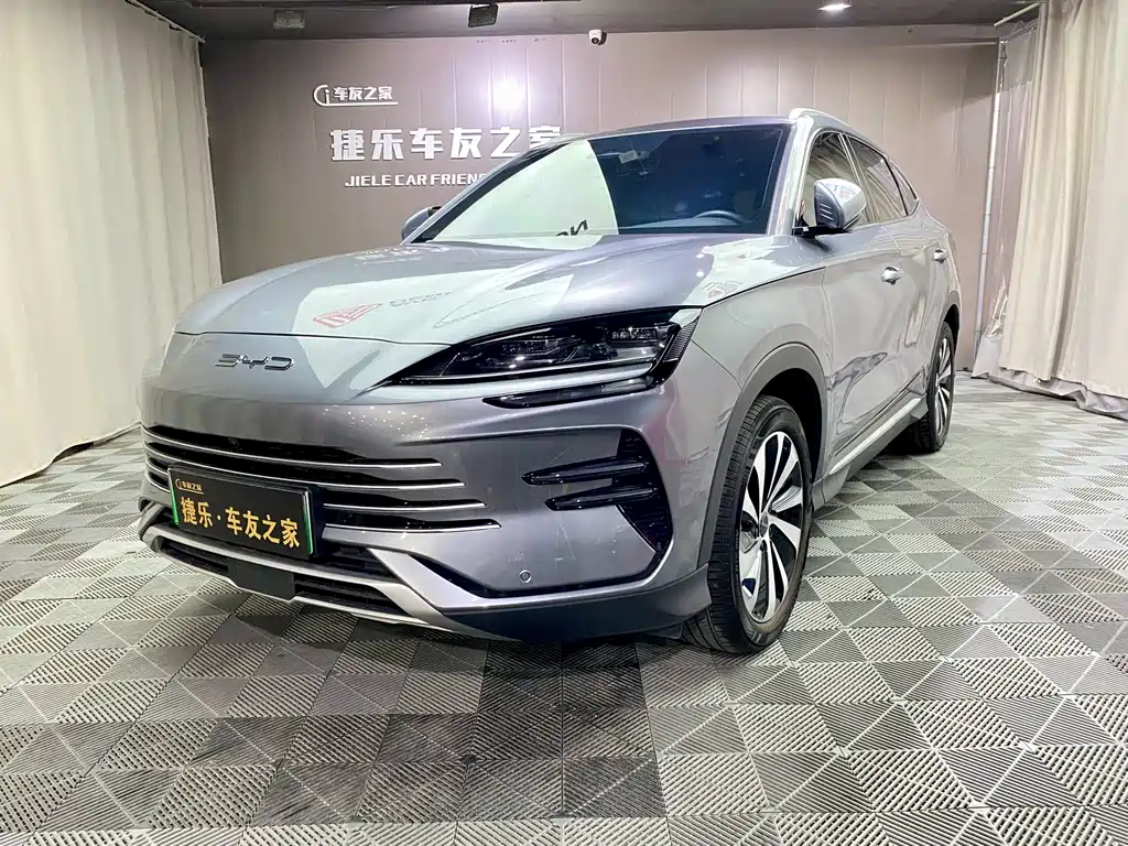 BYD PLUS New Energy 2024