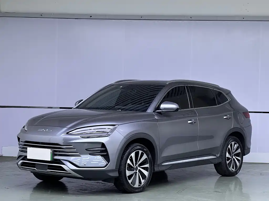 BYD PLUS New Energy 2024
