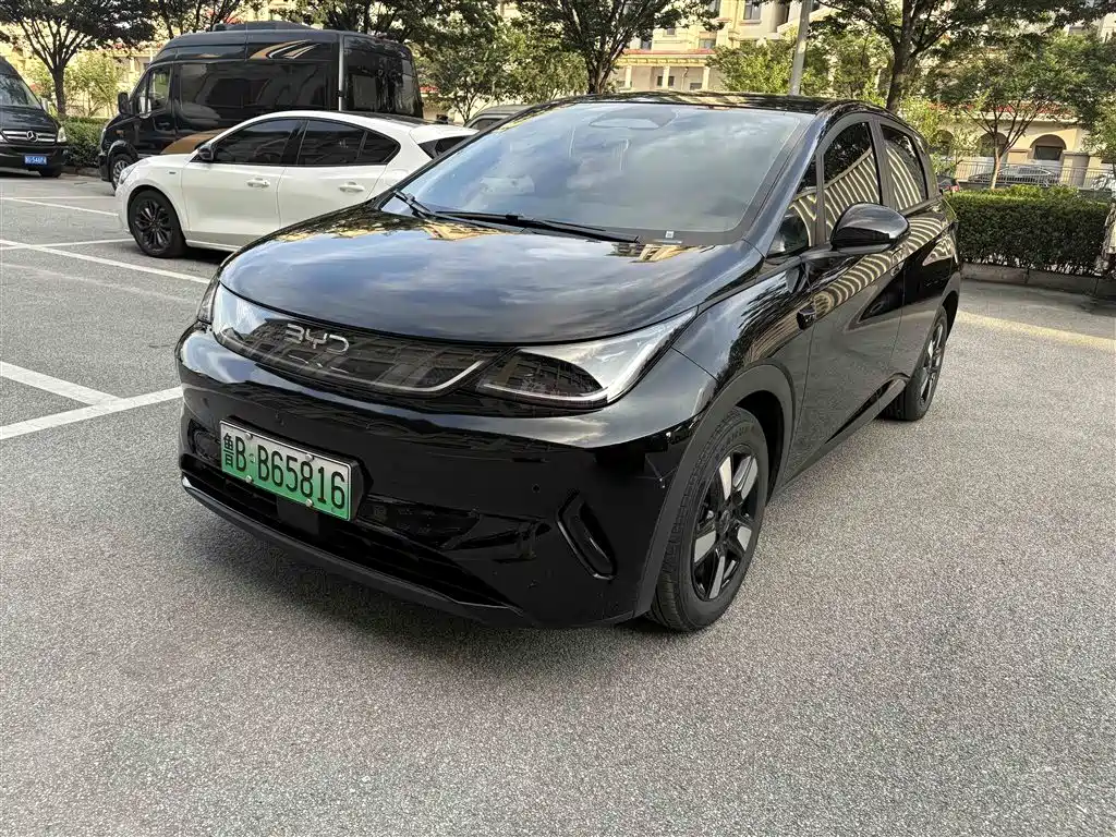 BYD Dolphin 2025