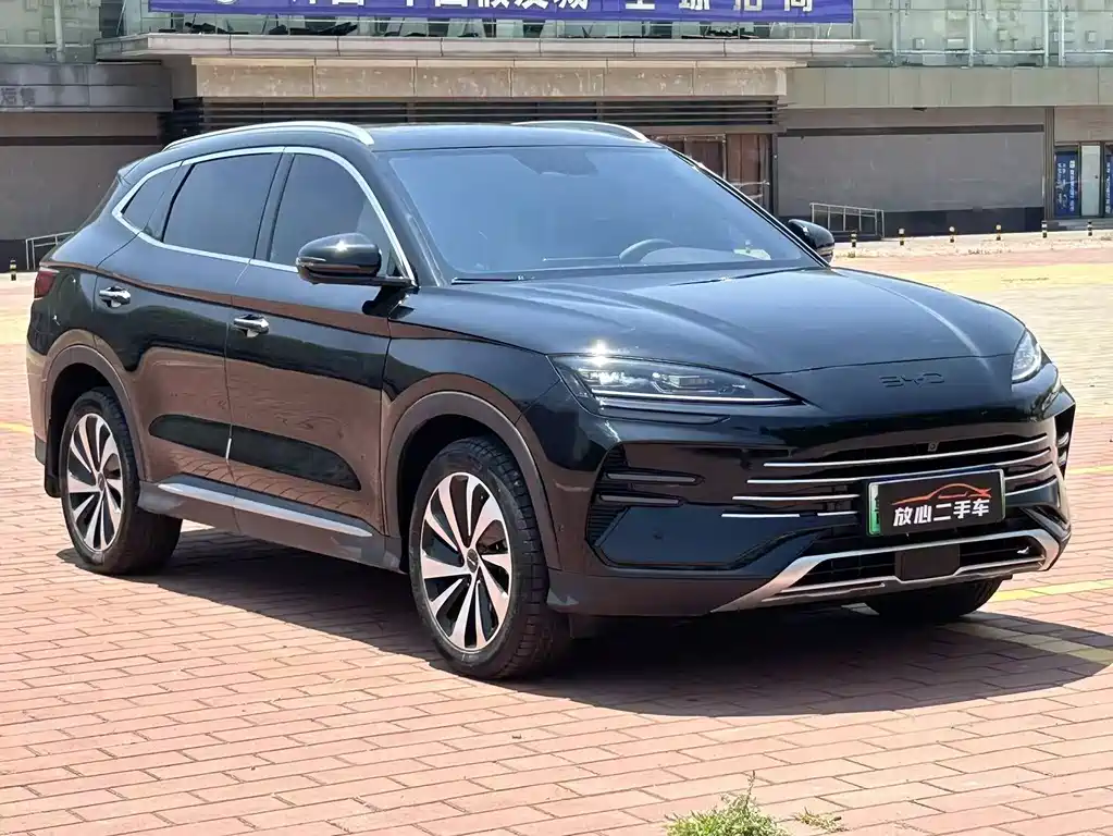 BYD PLUS New Energy 2024