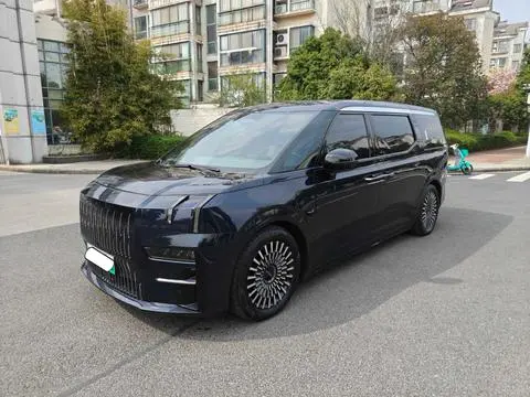 ZEEKR 009 2023 WE version