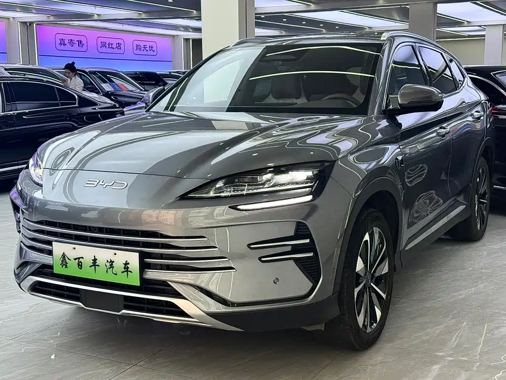 BYD PLUS New Energy 2025