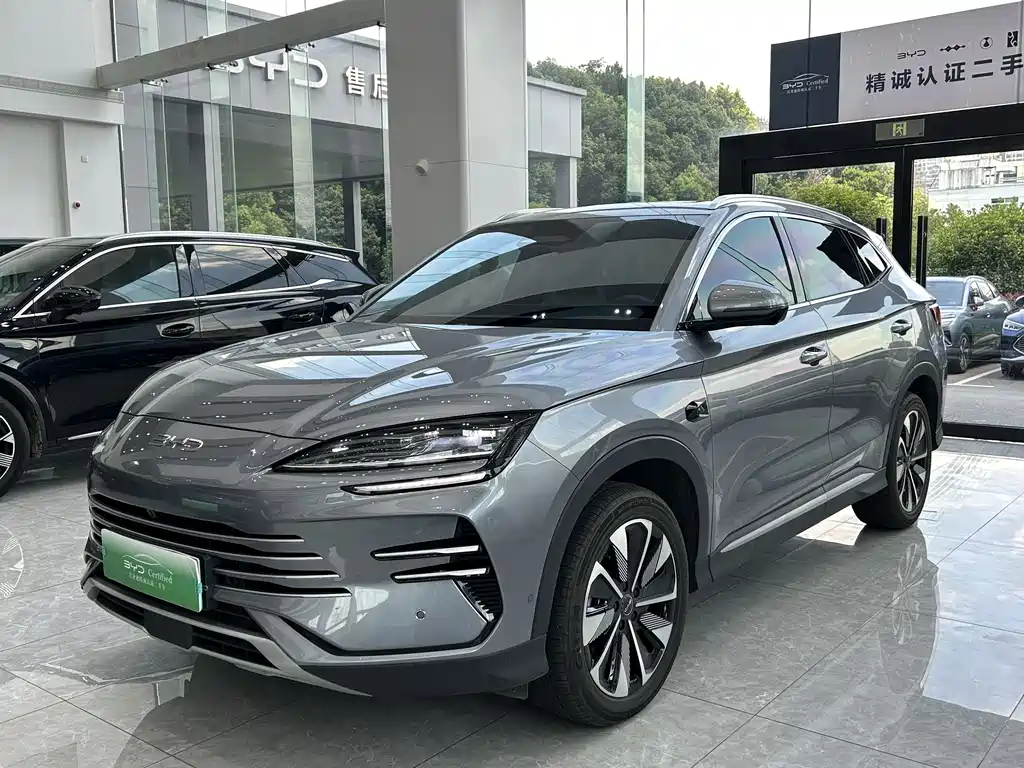 BYD PLUS New Energy 2025