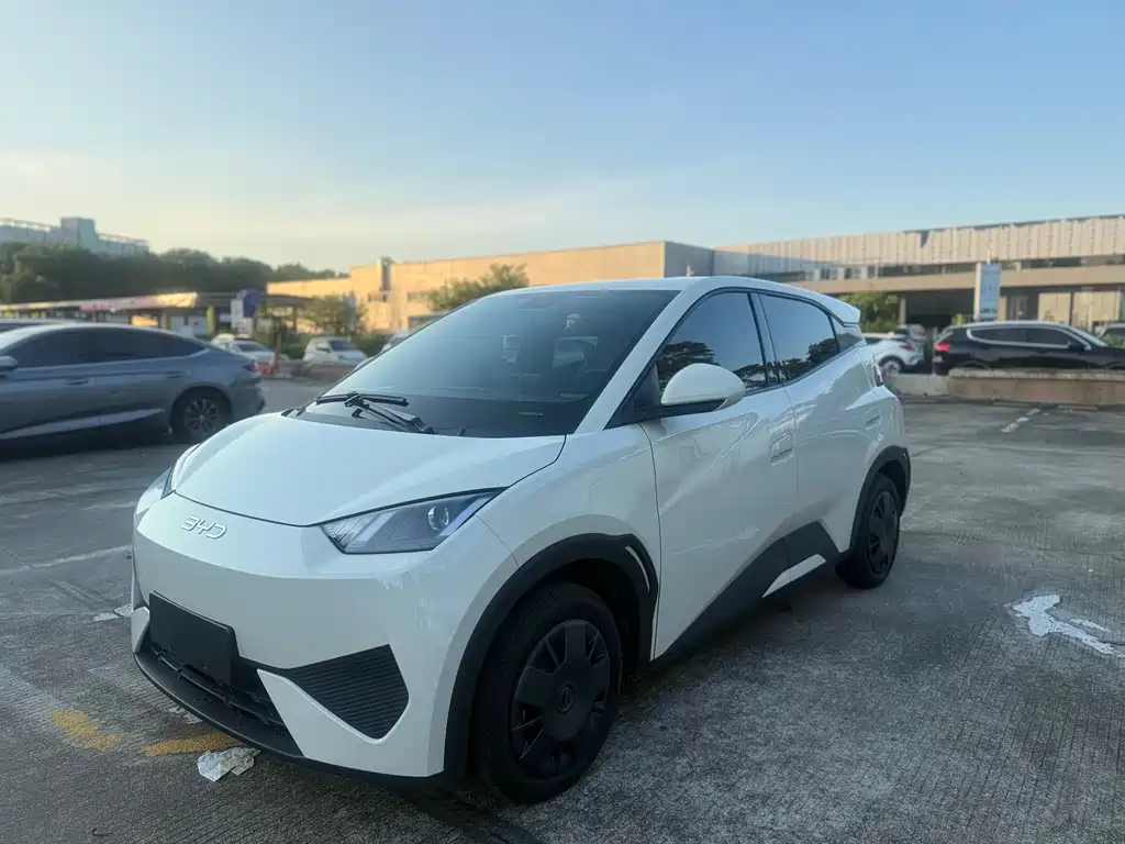 BYD Seagull 2026