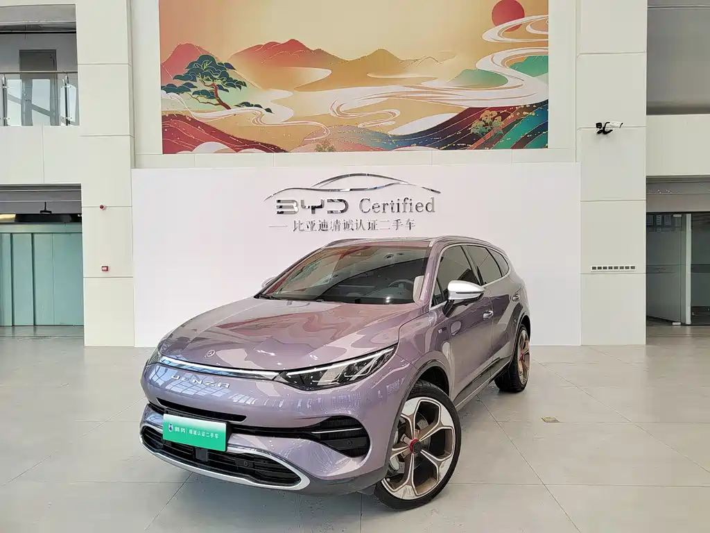 Denza Denza X 2020
