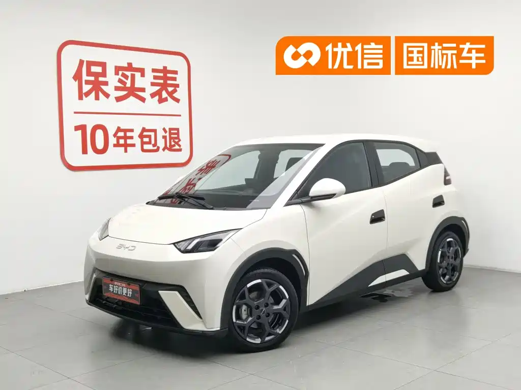 BYD Seagull 2025