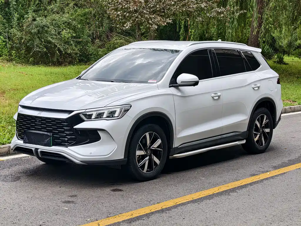 BYD Pro New Energy 2024