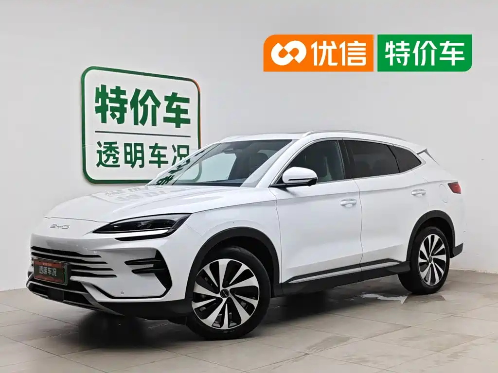 BYD PLUS New Energy 2024