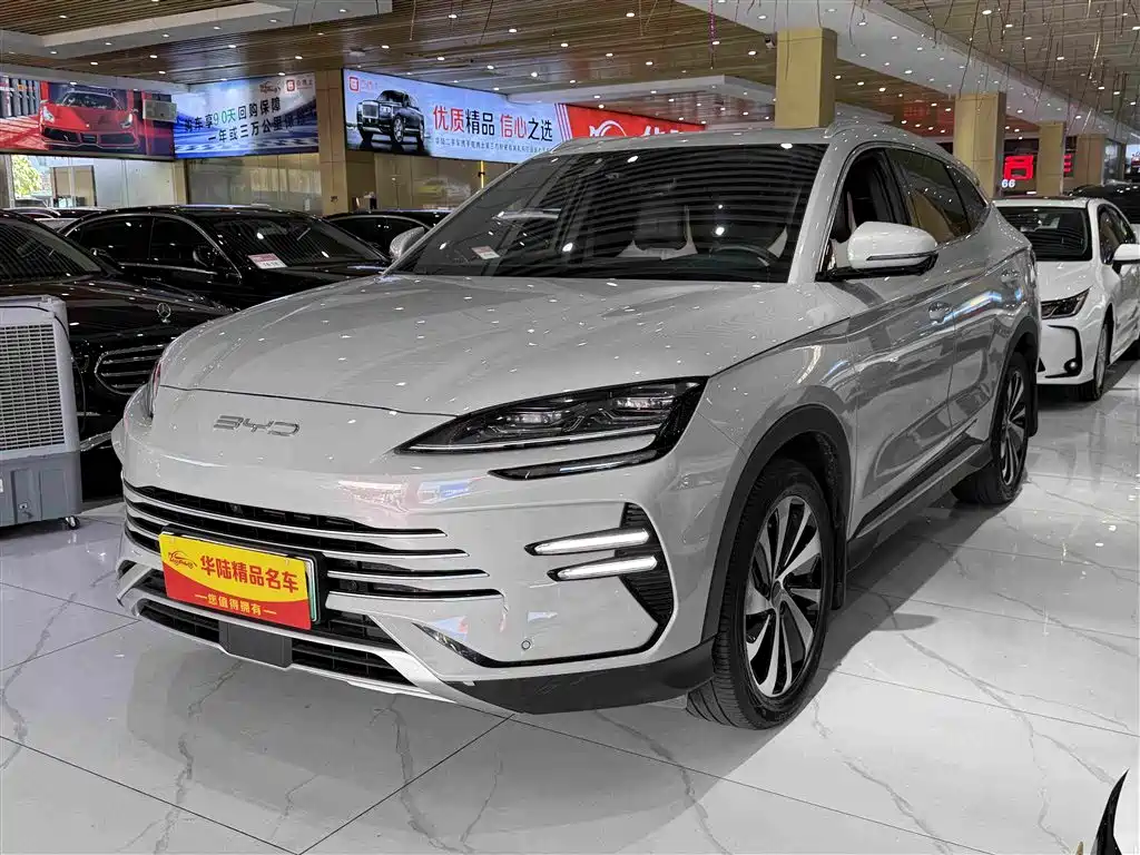 BYD PLUS New Energy 2024