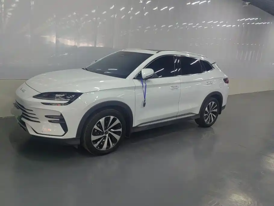 BYD PLUS New Energy 2025