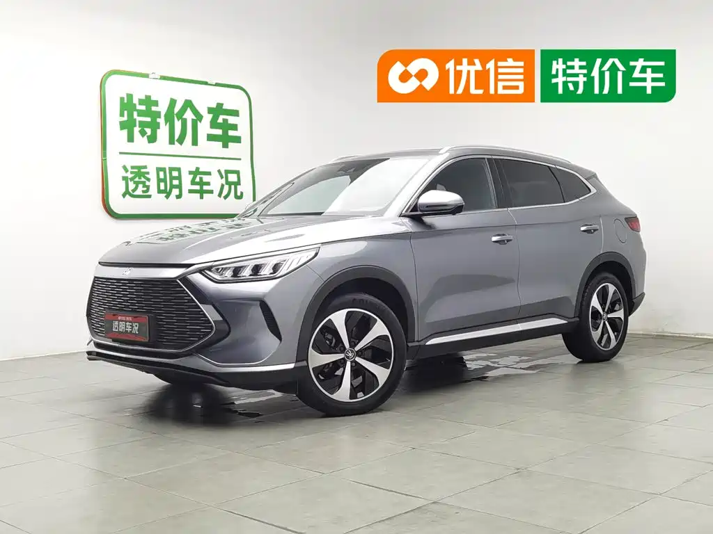 BYD PLUS New Energy 2022